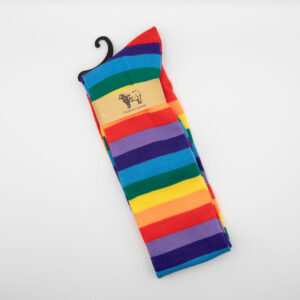 Regenbogensocken